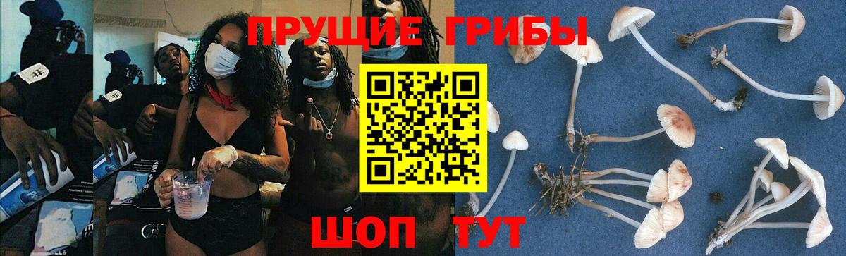 Саров  Галлюциногенные грибы мухоморы  Вход с VPN 